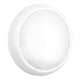 Bulkhead Lights