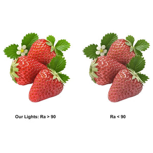24V Seamless Dotless LED Tape Strip Light | 5W COB LED | Dimmable | Daylight White 6000K | Sold Per Metre